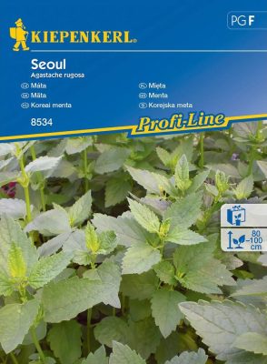 Koreai menta Seoul