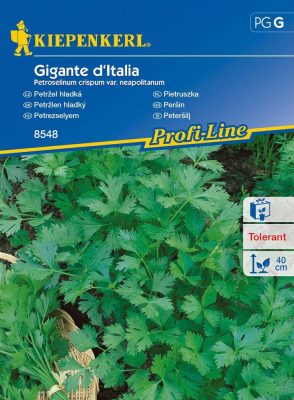 Petrezselyem Gigante d'Italia