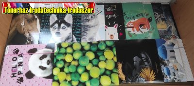 GUMIS MAPPA A/4 FÉNYES KARTON- GIRLS- STARPAK