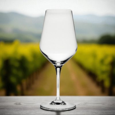 Carré fehérboros kehely, 350 ml, 6 db-os csomag, üveg