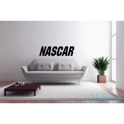 NASCAR Falmatrica