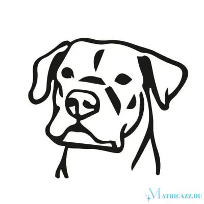 Argentin dog matrica 1