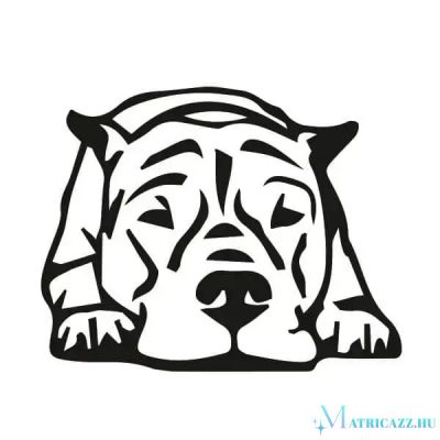 Argentin dog matrica 2