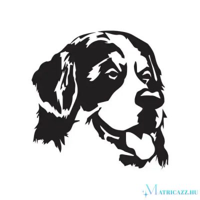 Berni pásztor matrica 1