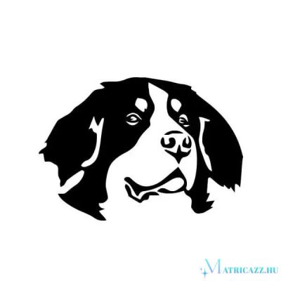 Berni pásztor matrica 3