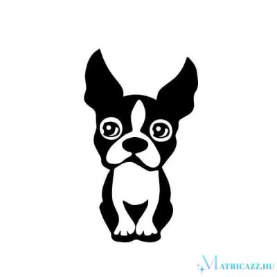 Boston terrier matrica 9