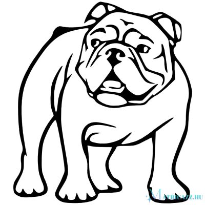 Bulldog matrica 5