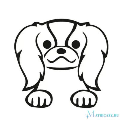 Japán csin matrica 2