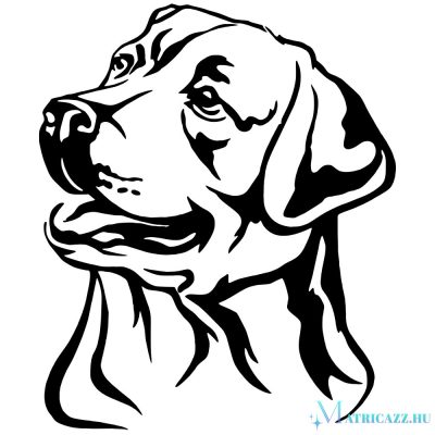 Labrador matrica 5
