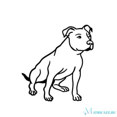 Pitbull matrica 6