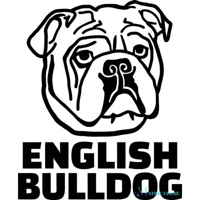 Angol bulldog matrica 4