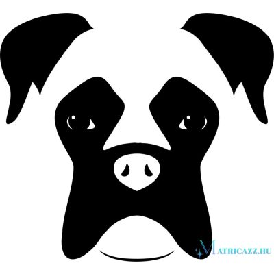 Boxer matrica 14