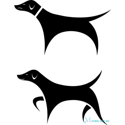 Vizsla matrica szett 2