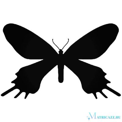 Pillangó matrica 2