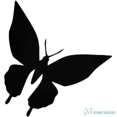 Pillangó matrica 9