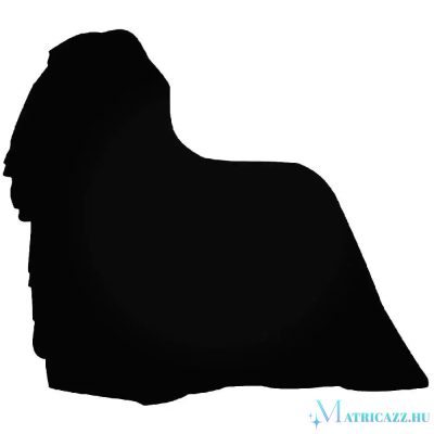 Komondor Kutya matrica