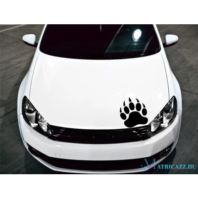 Medvetappancs motorháztető matrica