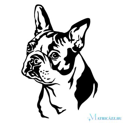 Boston terrier matrica 18