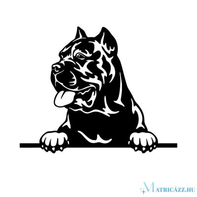 Cane corso matrica 14