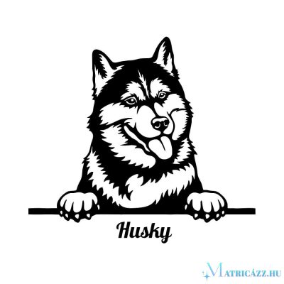 Husky matrica 15