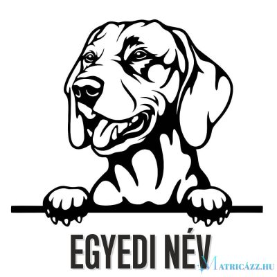 Egyedi neves Vizsla matrica