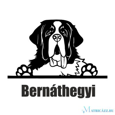 Bernáthegyi matrica 2