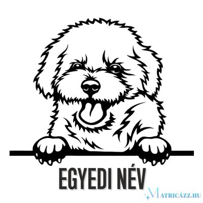 Egyedi neves Bichon Frise matrica