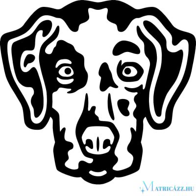Dalmata matrica 1