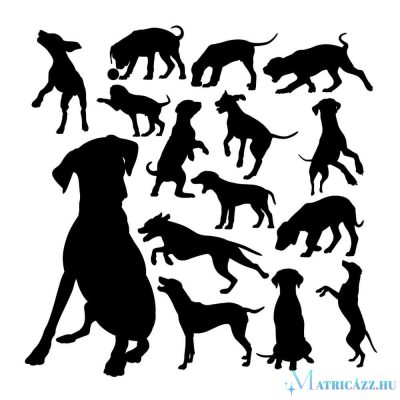 Dalmata matrica szett