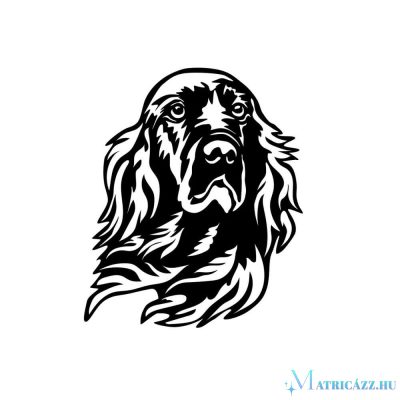 Ír szetter matrica 4