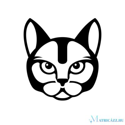 Mérges macska matrica 1