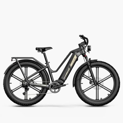FIIDO Titan E-bike Vastag Kerekű Elektromos Kerékpár 250W 48V 14.5Ah (696Wh) 25 km/h