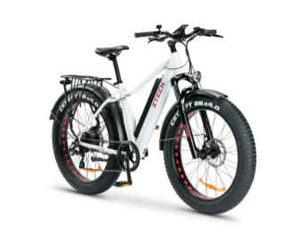 ZTech ZT-87B, elektromos kerékpár