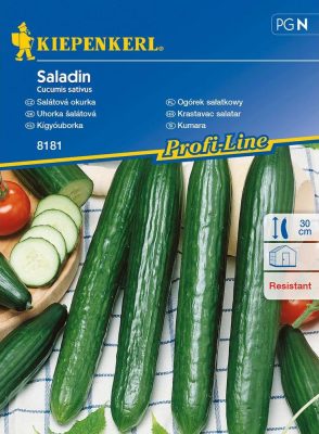 Kígyóuborka Saladin, F1